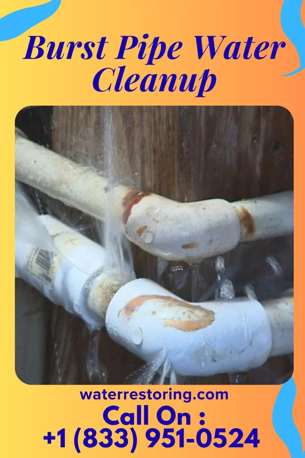 Burst Pipe Water Cleanup in Berlin, IL