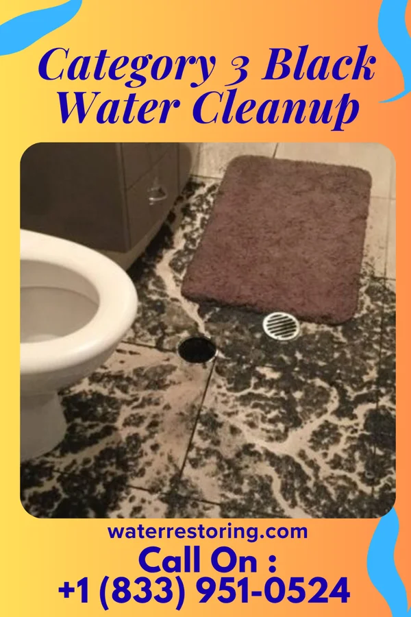 Category 3 Black Water Cleanup in Berlin, IL