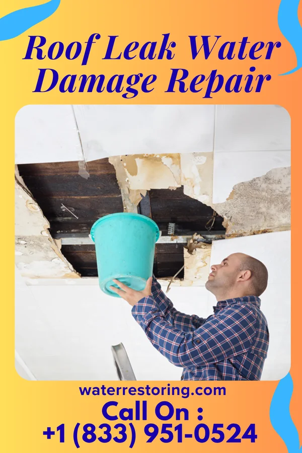 Roof Leak Water Damage Repair in Berlin, IL